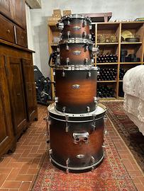 Pearl decade maple