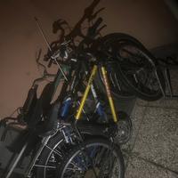 Bici gialla