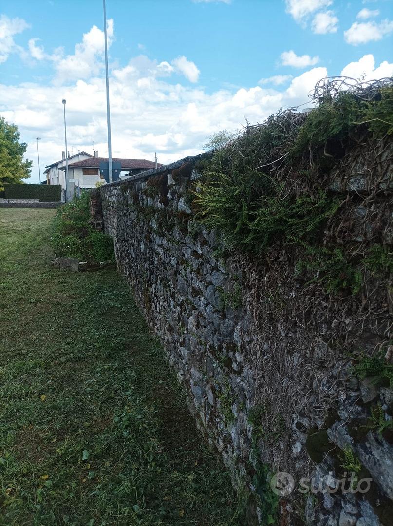 Terreno EDIFICABILE Vacile - Vista 5