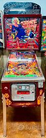 flipper zaccaria star's phoenix