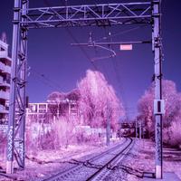 Reflex Sony  DSLR-A350 modificata IR full spectrum
