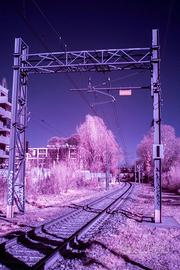 Reflex Sony  DSLR-A350 modificata IR full spectrum