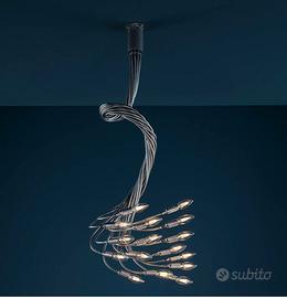 Catellani & smith  torciu 16