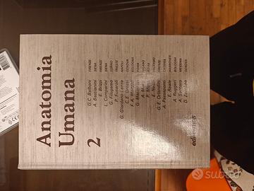 anatomia umana edi-ermes 1987- 3 volumi completi