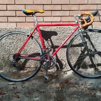 bici Colnago 