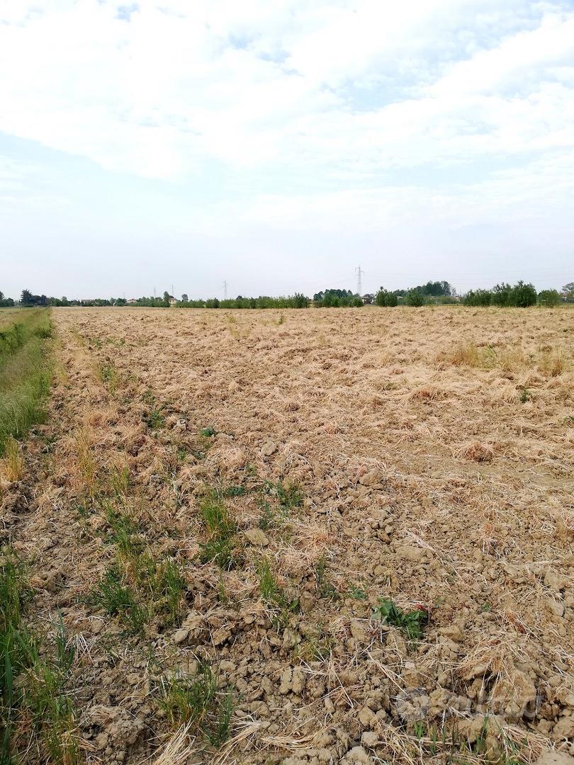Terreno agricolo - Vista 5
