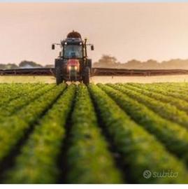 Terreni edificabili e agricoli