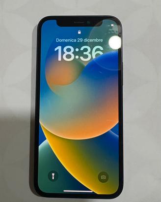 iPhone 12 Mini