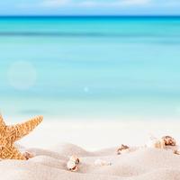 Direttore tecnico per agenzia viaggi Toscana