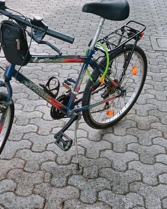 Bici mtb