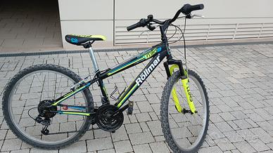 bicicletta Rollmar Climb ragazzo 8-13 anni