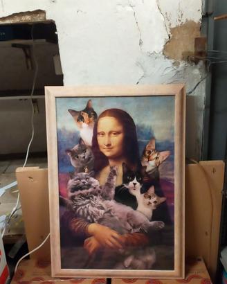 Quadro gatto