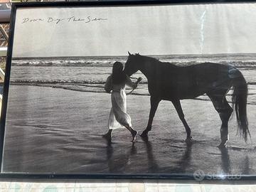 Spiaggia donna magnifico cavallo