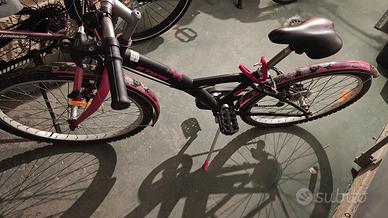 Bici da 24