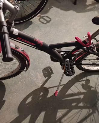 Bici da 24