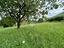 Immagine 25
