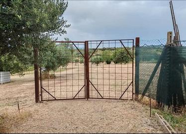 Terreno 6.500 mq - permuto con camper