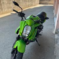 Kawasaki er-6n