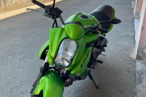 Kawasaki er-6n