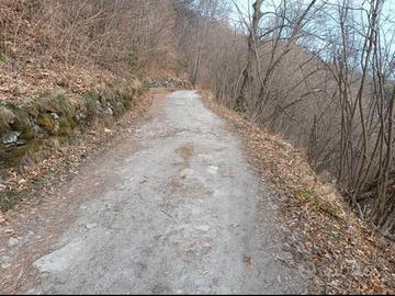 Terreno in valle Po a paesana cn