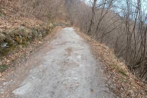 Terreno in valle Po a paesana cn