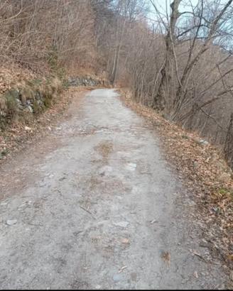Terreno in valle Po a paesana cn