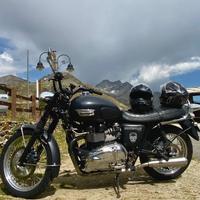 Bonneville t100 usata