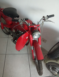 1965 motom 48