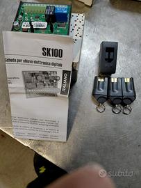 scheda sk 100