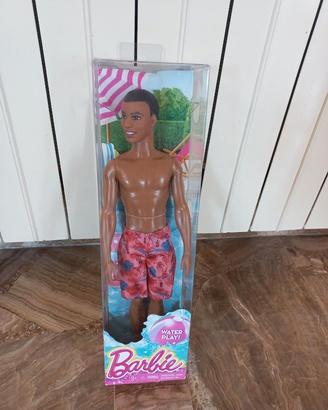 Barbie Water Play Steven AA CFF17 2014
