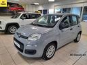 fiat-panda-easy-1-2-69-cv-ac-classic