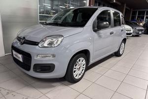 FIAT Panda 1.2 69cv S&S E6d-Temp Lounge