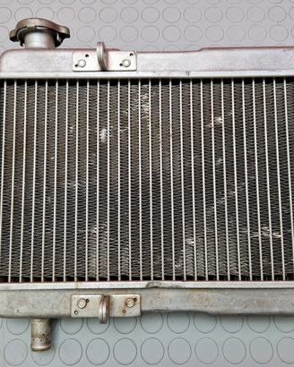 RADIATORE ACQUA HUSABERG FC 550 2002 2003 FE 450 2