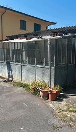 Serra in ferro zincato con vetri