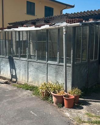 Serra in ferro zincato con vetri