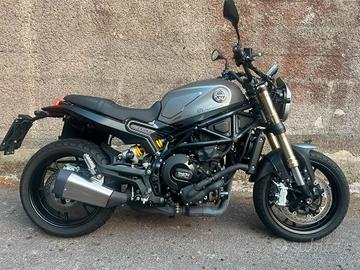 Benelli Leoncino 800