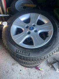 cerchi panda cross 169