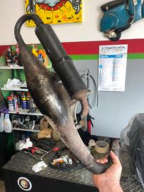 polini for race 4 piaggio