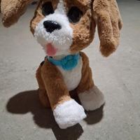 Charlie Furreal cagnolino