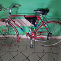 Bici da uomo 