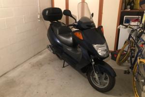 Honda Foresight 250 - GRIPPATO