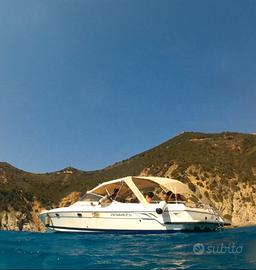 Cranchi Endurance 31