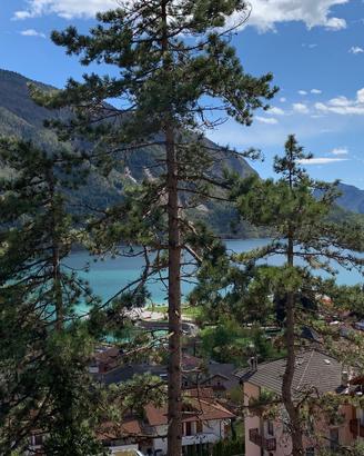 Appartamento Molveno vista LAGO