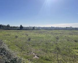 Terreno agricolo a Lecce in via Sandalo