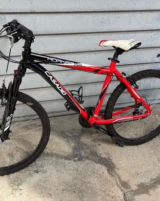 MTB Casadei 26