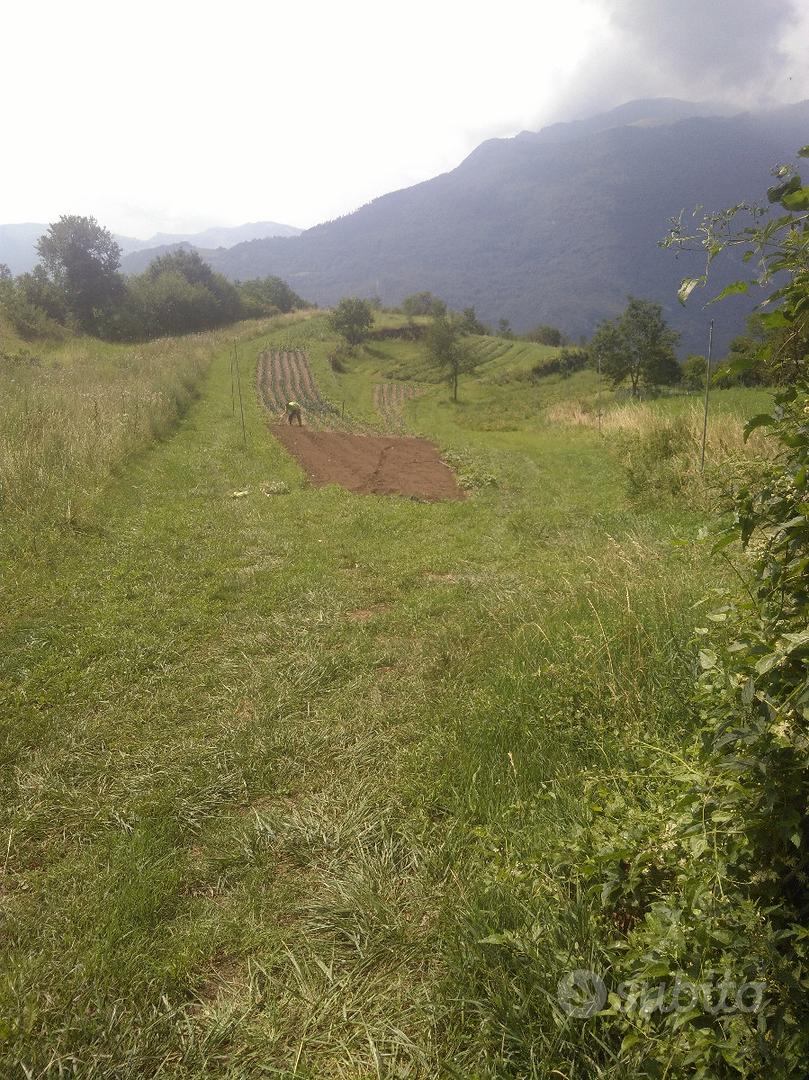 Terreno agricolo - Vista 6