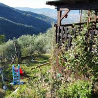 TER. AGRICOLO A PISTOIA
