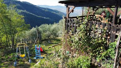 TER. AGRICOLO A PISTOIA