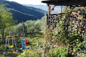 TER. AGRICOLO A PISTOIA