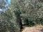 Immagine 14